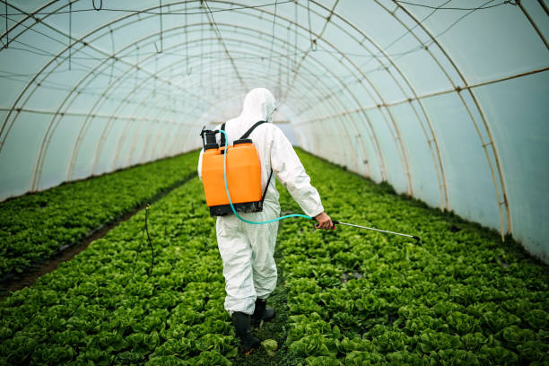 Best Pest Inspection Near Me  in Merton, WI