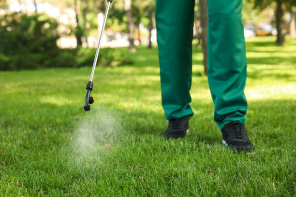 Best Pest Prevention Services  in Merton, WI