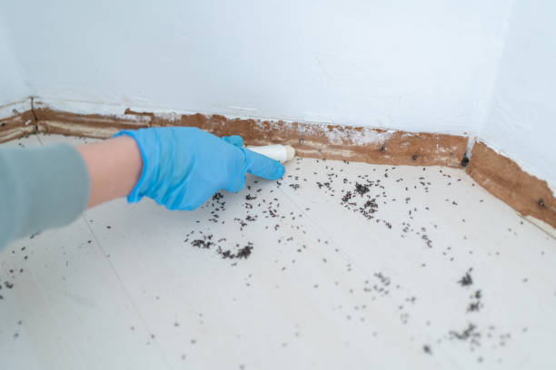 Best Pest Control Treatment  in Merton, WI